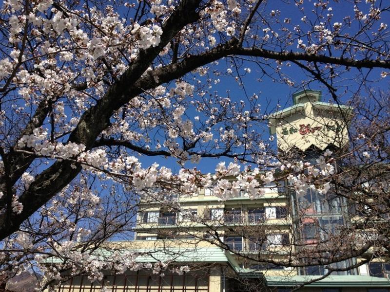 Isawa View Hotel Fuefuki Екстериор снимка